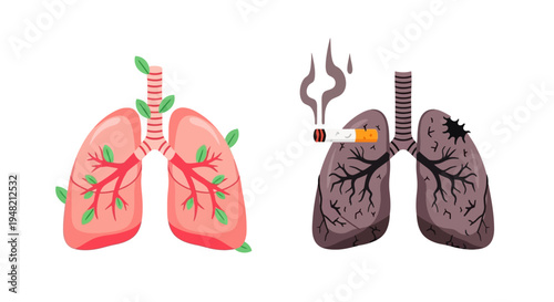 Healthy Lungs vs
