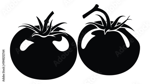 A detailed analysis of a simple yet artistic representation of two tomatoes