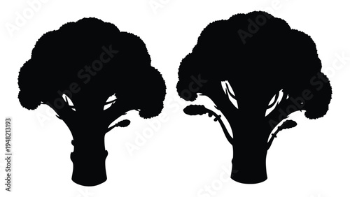 A detailed analysis of two black silhouette cauliflower illustrations on a white background