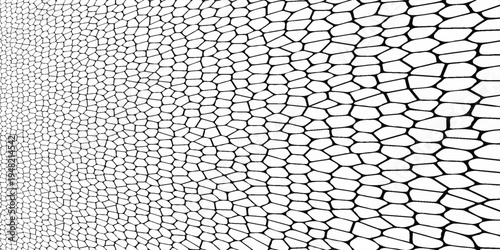 Seamless pattern skin snake, crocodile, lizard, alligator, reptile. Reptilian scales. Monochrome black spots. Vector isolated on white. Serpentine texture. Fashion print.