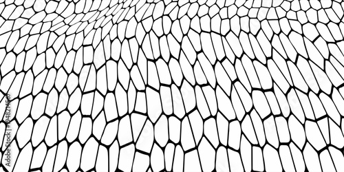 Seamless pattern skin snake, crocodile, lizard, alligator, reptile. Reptilian scales. Monochrome black spots. Vector isolated on white. Serpentine texture. Fashion print.