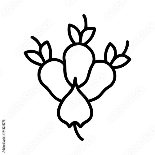Set of 3 pear icons vector, black line drawing