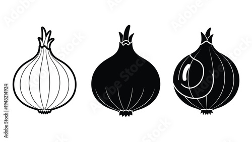 A detailed analysis of three distinct onion illustrations showcasing varying levels of shading and texture