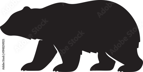 Bears Vector Graphic by Creative Designer