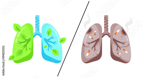Healthy Lungs Versus Unhealthy Lungs Illustrating the Harmful Effects of Smoking on Respiratory Health