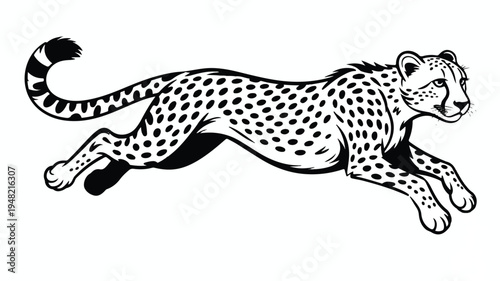 cheetah running fast with spots on fur and tail in motion