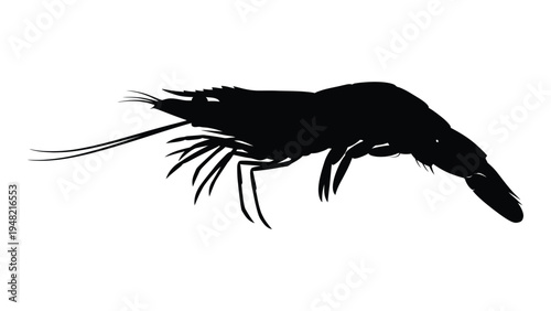 Detailed analysis of a shrimp silhouette: a comprehensive study of crustacean anatomy and morphology in aquatic environments