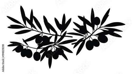Olive branch silhouette with leaves and fruits on a white background creating a symbol of peace and serenity in a simple yet elegant design element