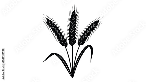 A minimalist black and white illustration of a wheat plant with three stems and leaves on a plain background, symbolizing simplicity and nature
