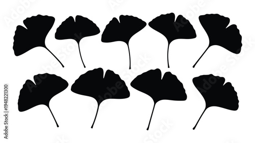 A collection of nine black ginkgo biloba leaves on a white background, showcasing their unique fan-shaped structure and stems.