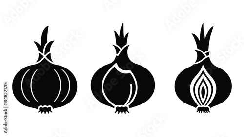 A detailed analysis of three distinct onion illustrations with varying levels of complexity and design