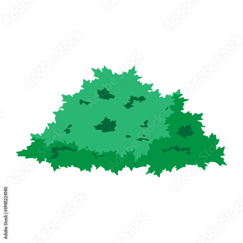 Green Bush illustration