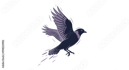 Dark Crow Bird Flying Isolated White Background