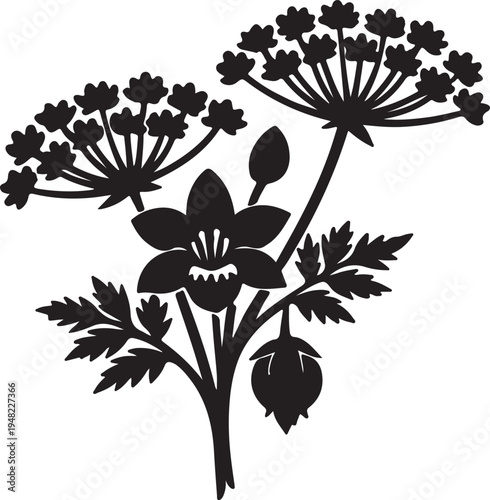 Valokuva Umbel Flower Icon – Vector Illustration