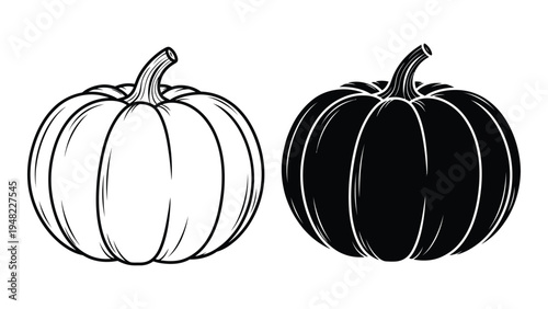 A detailed analysis of a black and white pumpkin illustration featuring two distinctive gourds