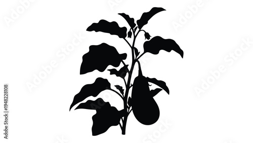 A detailed analysis of a pear tree silhouette: exploring the intricacies of nature's beauty and serenity in a simple yet profound visual representation