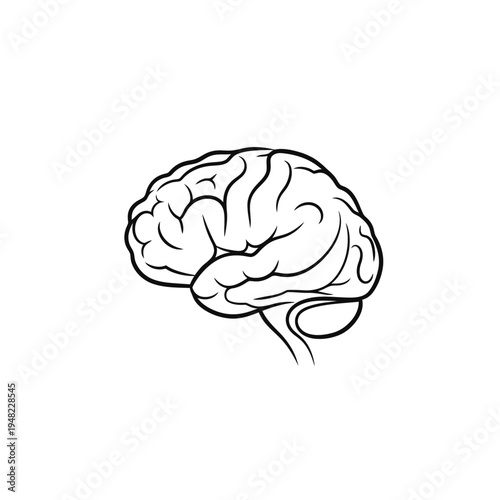 Brain Outline Illustration - Medical and Science Concept