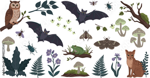 Hand Drawn Forest Wildlife Collection with Bat Owl Frog Fox Mushrooms Insects Plants Woodland Nature Vector Illustration Set