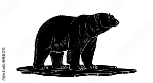 Silhouette of a Bear Standing on a Patch of Ground.