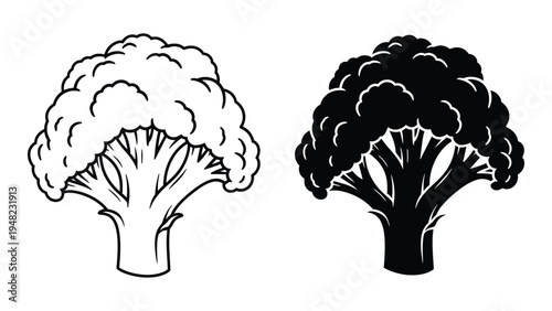 A comparative analysis of cauliflower illustrations in black and white: exploring visual representations and contrasts