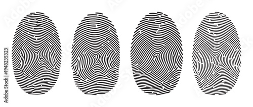 Set of four fingerprint illustrations, various unique patterns and styles, isolated on white, biometric data