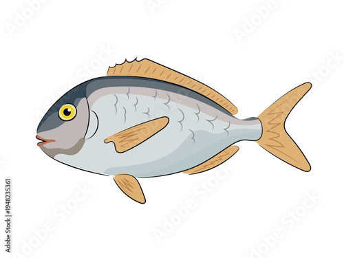 Silver sea fish with yellow fins, flat vector illustration, cartoon style, seafood, animal isolated on white background. Hand drawn, scribble.