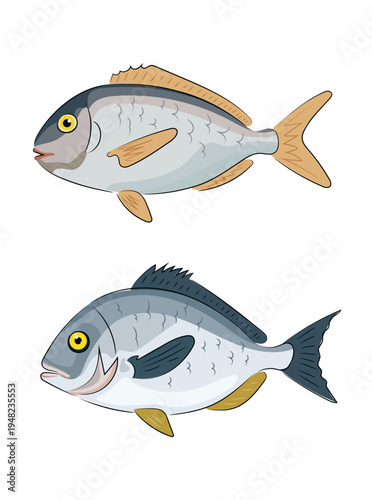 Silver sea fish with yellow fins, flat vector illustration, cartoon style, seafood, animal isolated on white background. Hand drawn, scribble.