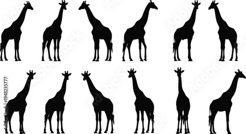 Giraffe silhouette vector set featuring wild African animals in various standing poses isolated on white background for safari nature design.