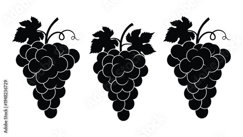 A detailed analysis of a digital illustration featuring three bunches of grapes in a row with leaves and stems on a white background for design and decoration purposes