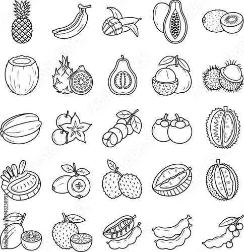 Hand Drawn Tropical Fruit Collection Vector Illustration Pineapple Banana Mango Papaya Kiwi Coconut Dragon Fruit Guava