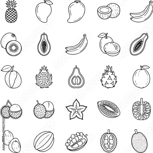 Collection of Tropical Fruits Vector Icons Set Pineapple Mango Coconut Banana Papaya Kiwi Dragon Fruit Durian Lychee