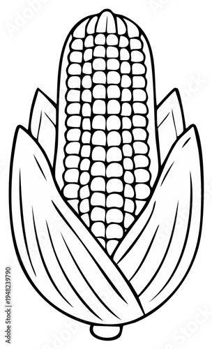 Simple Outline Illustration of a Fresh Corn Cob with Husk and Silk Details