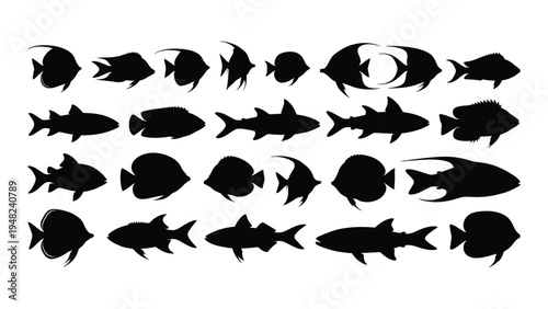 Comprehensive analysis of diverse fish silhouettes for marine biology and design applications