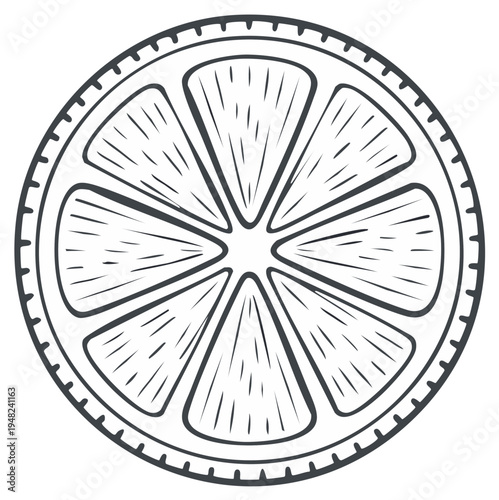 Black and white hand drawn illustration of a citrus fruit slice with details