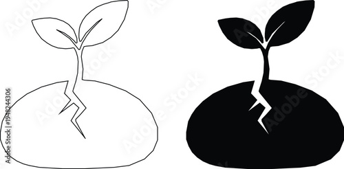  Sprout growing from cracked earth silhouette & black outline Illustrator.