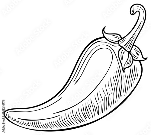 Hand-drawn outline of a single chili pepper with detailed shading