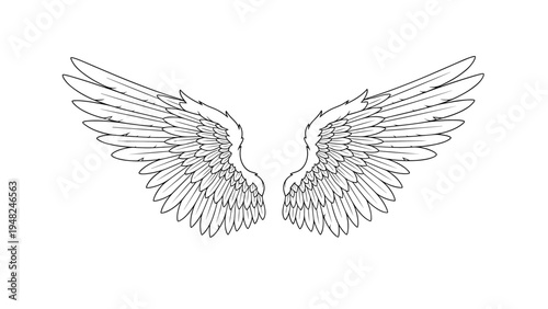 Detailed black and white line art illustration of feathered bird wings spread open and wide isolated on white background.