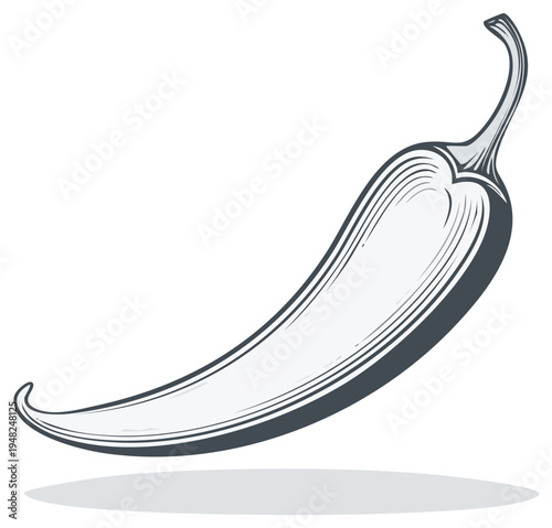 Isolated pepper art illustration showing a single curved chilli with textured surface lines, vector drawing of hot culinary pepper