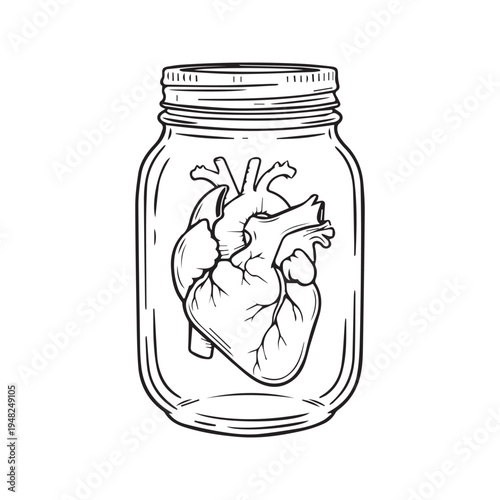 Anatomical heart inside a glass jar line art drawing black and white sketch
