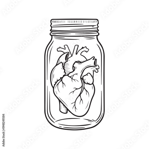 Anatomical heart inside a glass jar line art drawing black and white sketch
