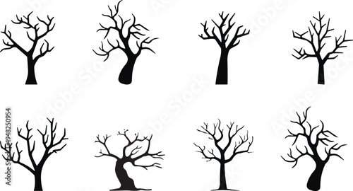 bare tree silhouette, winter tree branches, leafless forest tree, natural tree silhouette, woodland tree illustration, dead tree silhouette, botanical tree design, 
