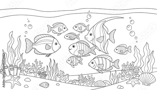 Underwater scene with fish and marine life for kids coloring book