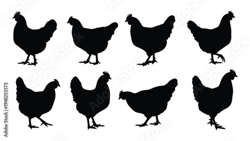 Detailed analysis of seven black chicken silhouettes on white background with keywords and descriptions