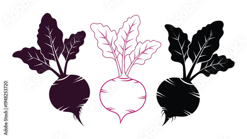 A stylized illustration of three beets in different colors, showcasing their unique leafy greens and bulbous roots in a visually appealing and artistic representation.