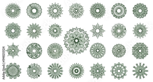 Abstract floral patterns on black background digital art