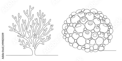 Coral and sea sponge line art vector illustrations on transparent grid pattern