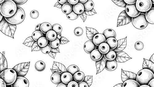 Patterned design of hand drawn coffee cherries and leaves representing the harvest of natural coffee beans.