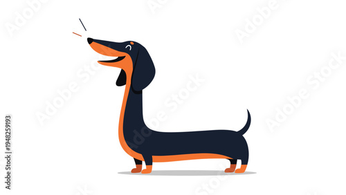 Cartoon dachshund dog with an incredibly long body barks happily in a simple and clean 2D vector illustration style for pet lovers.