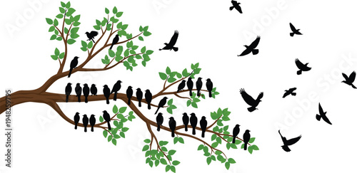 Tree branch with green leaves and black birds perched and flying