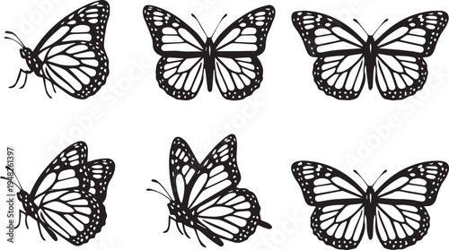 Butterfly silhouettes vector illustration with six black and white wing patterns showing species diversity and decorative design